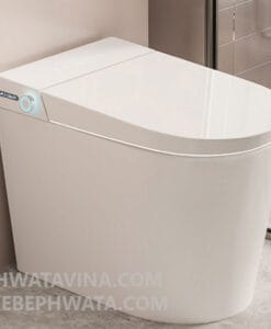 Bồn cầu Hwata HT-D51A