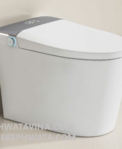 Bồn cầu Hwata HT-D76A