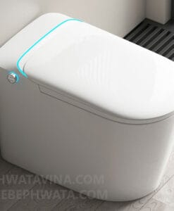 Bồn cầu Hwata HT-D81C